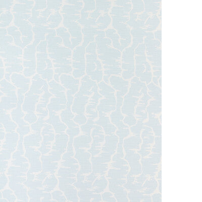 BRUNSCHWIG & FILS LEVES WC P8025102.113.0 in MIST Wallpaper 