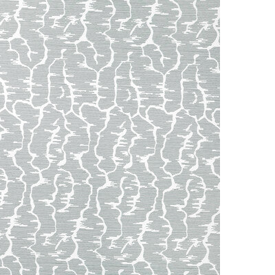 BRUNSCHWIG & FILS LEVES WC P8025102.8.0 in NOIR Wallpaper - 