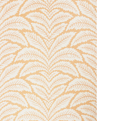 BRUNSCHWIG & FILS TALAVERA SISAL P8026106.12.0 in APRICOT Wa