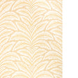 BRUNSCHWIG & FILS TALAVERA SISAL P8026106.16.0 in BEIGE Wall