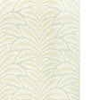BRUNSCHWIG & FILS TALAVERA SISAL P8026106.23.0 in CELADON Wa