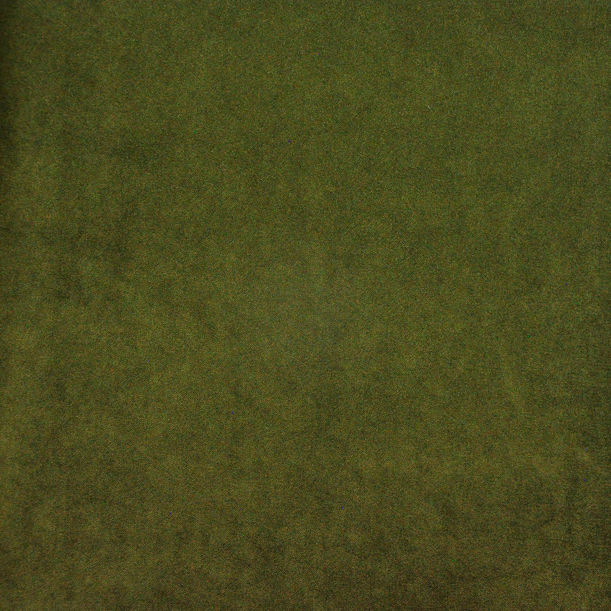 Eade’s # 418 OLIVE