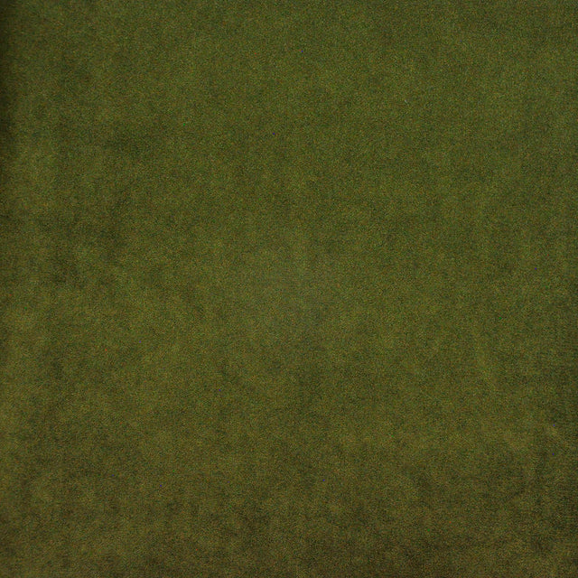 Eade’s # 418 OLIVE