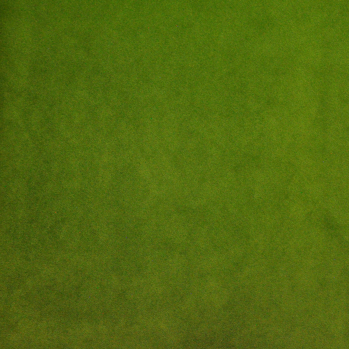 Eade’s # 419 LIME