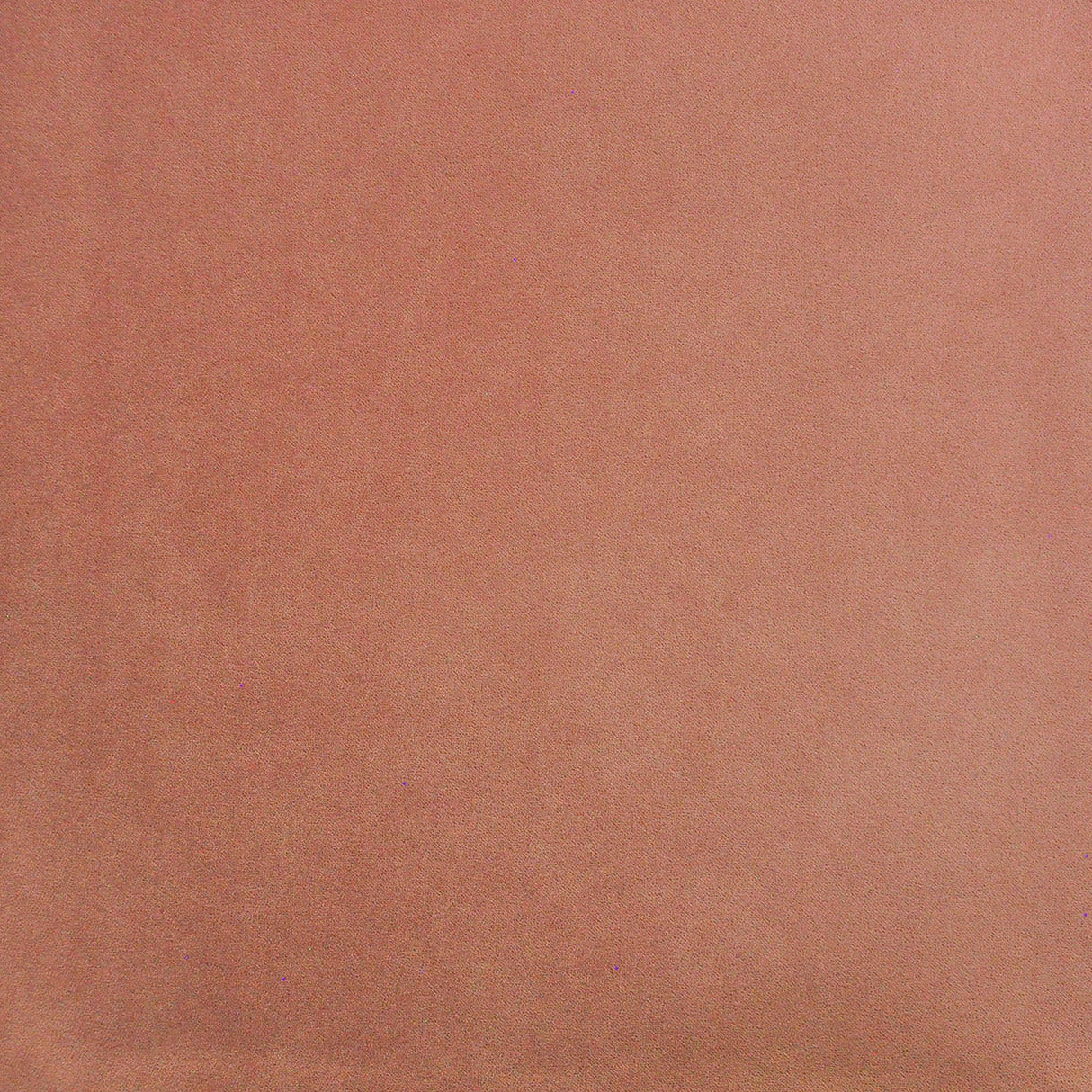 Eade’s # 427 ROSE