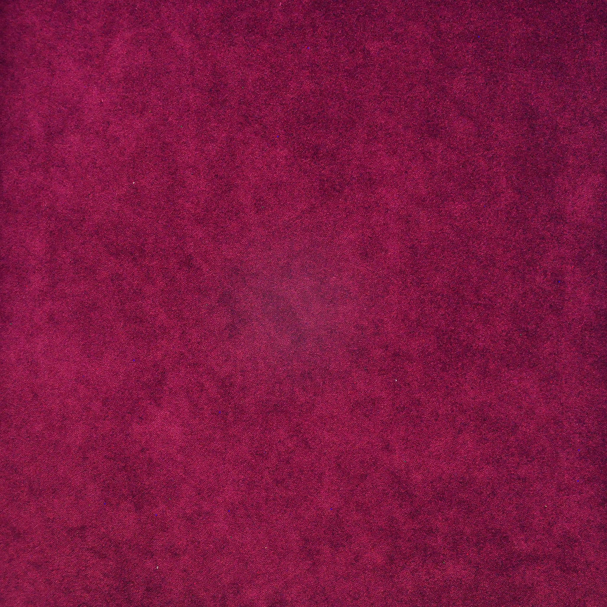 Eade’s # 432 CURRANT