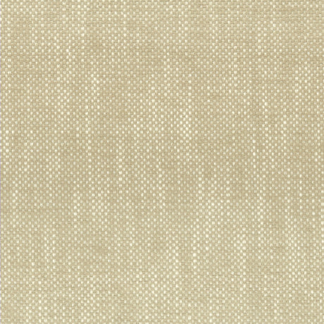 Eade's PANI-1-sample CHAMPAGNE