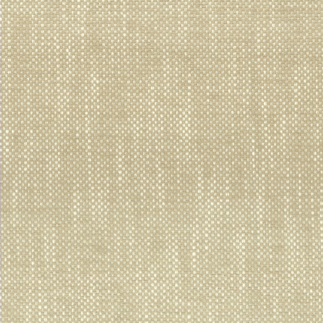 Eade's PANI-1-sample CHAMPAGNE