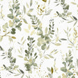 PURE EDIT HARUMI PEF100016.340.0 in EUCALYPTUS Wallpaper - T