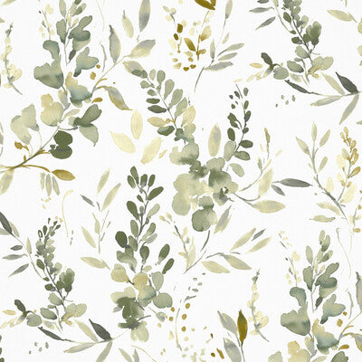 PURE EDIT HARUMI PEF100016.340.0 in EUCALYPTUS Wallpaper - T