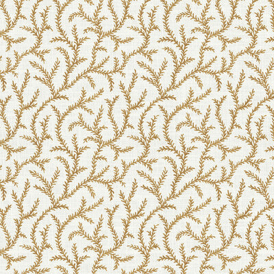 PURE EDIT INAYA PEF100018.1216.0 in AMBER Wallpaper - THE PU