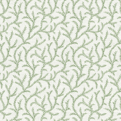 PURE EDIT INAYA PEF100018.30.0 in SAGE Wallpaper - THE PURE 