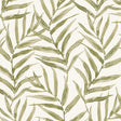 PURE EDIT KI PEF100028.23.0 in KALE Wallpaper - THE PURE EDI
