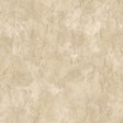 PURE EDIT NAMATHA PEF100036.106.0 in STONE Wallpaper - THE P