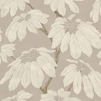 PURE EDIT PONDICHERRY PEF100042.106.0 in CLAY Wallpaper - TH