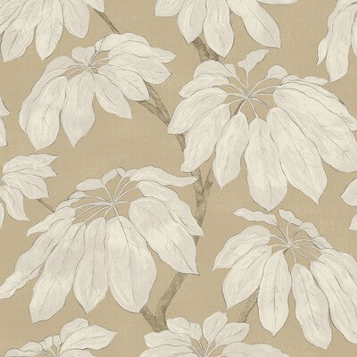 PURE EDIT PONDICHERRY PEF100042.16.0 in LINEN Wallpaper - TH