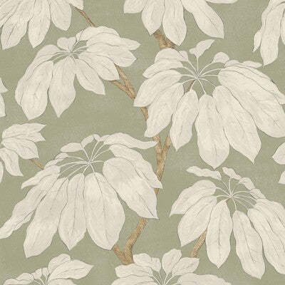 PURE EDIT PONDICHERRY PEF100042.30.0 in SAGE Wallpaper - THE