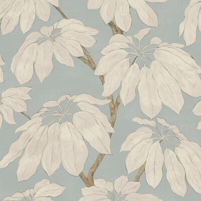 PURE EDIT PONDICHERRY PEF100042.5.0 in SKY Wallpaper - THE P