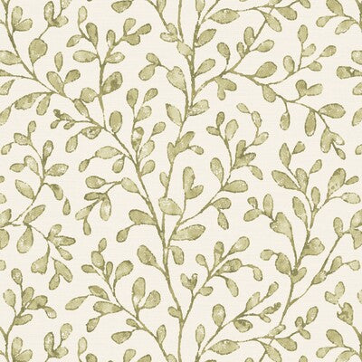 PURE EDIT TAREE PEF100049.23.0 in MOSS Wallpaper - THE PURE 