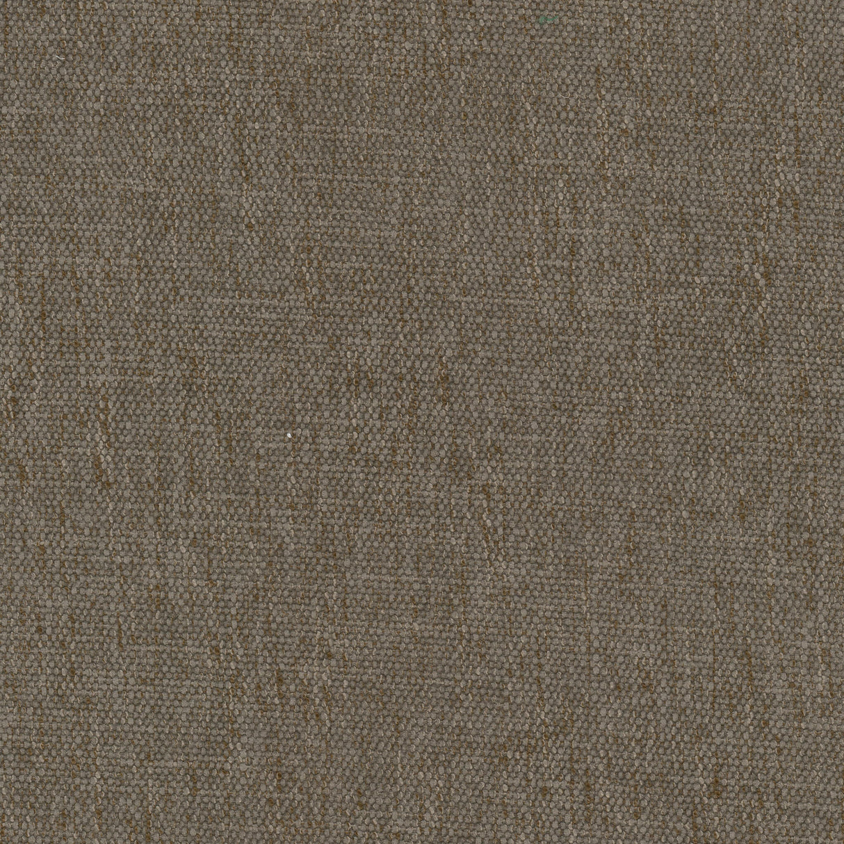 STOUT PERP-1 PERPETUAL 1 CEDAR Fabric - Eades Wallpaper & Fabric