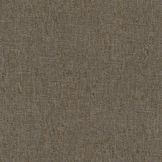 STOUT PERP-1 PERPETUAL 1 CEDAR Fabric - Eades Wallpaper & Fabric
