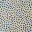 BAKER LIFESTYLE PF50064.935.0 COSMA SMOKE Fabric - Eade's Wallpaper