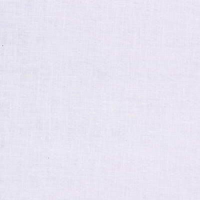 BAKER LIFESTYLE PF50172.100.0 OVAL WHITE Fabric - Eade's Wallpaper