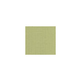 BAKER LIFESTYLE PF50199.780.0 KNIGHTSBRIDGE BIRCH Fabric - Eade's Wallpaper