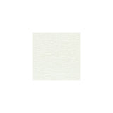BAKER LIFESTYLE PF50226.101.0 BARRA CHALK Fabric - Eade's Wallpaper