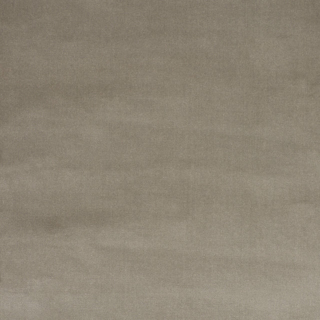 BAKER LIFESTYLE PF50305.945.0 ASHWELL PEWTER Fabric - Eade's Wallpaper