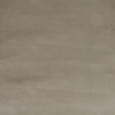 BAKER LIFESTYLE PF50305.945.0 ASHWELL PEWTER Fabric - Eade's Wallpaper