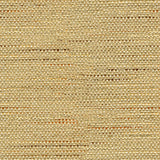BAKER LIFESTYLE PF50381.170.0 SATARA CAMEL Fabric - Eade's Wallpaper