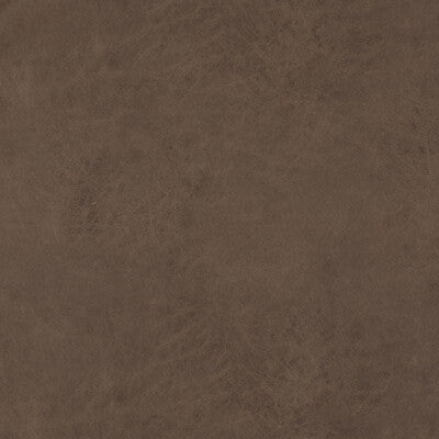 BAKER LIFESTYLE PF50412.284.0 LEXHAM TRUFFLE Fabric - Eade's Wallpaper