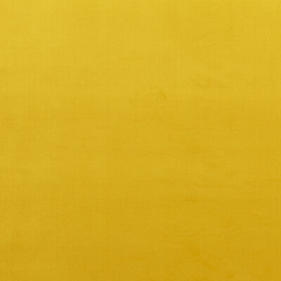 BAKER LIFESTYLE PF50417.840.0 MONTPELLIER VELVET OCHRE Fabric - Eade's Wallpaper