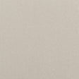 BAKER LIFESTYLE PF50420.148.0 CARNIVAL PLAIN PUMICE Fabric - Eade's Wallpaper