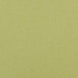 BAKER LIFESTYLE PF50420.755.0 CARNIVAL PLAIN LIME Fabric - Eade's Wallpaper