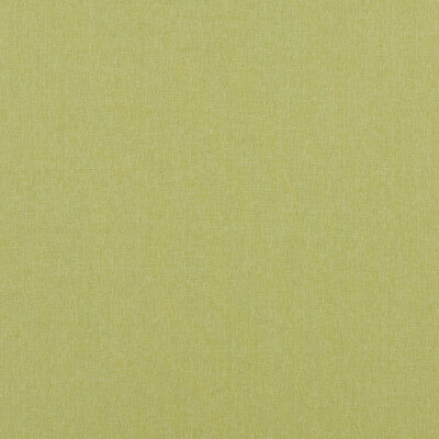 BAKER LIFESTYLE PF50420.755.0 CARNIVAL PLAIN LIME Fabric - Eade's Wallpaper