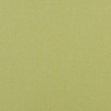 BAKER LIFESTYLE PF50420.755.0 CARNIVAL PLAIN LIME Fabric - Eade's Wallpaper