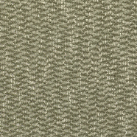 BAKER LIFESTYLE PF50486.735.0 GARDEN PATH GREEN Fabric - Eade's Wallpaper