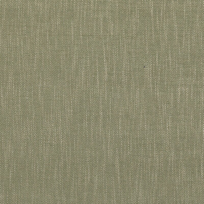 BAKER LIFESTYLE PF50486.735.0 GARDEN PATH GREEN Fabric - Eade's Wallpaper