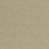 BAKER LIFESTYLE PF50487.735.0 FOLLY GREEN Fabric - Eade's Wallpaper