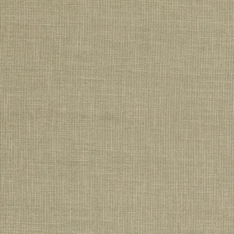 BAKER LIFESTYLE PF50487.735.0 FOLLY GREEN Fabric - Eade's Wallpaper