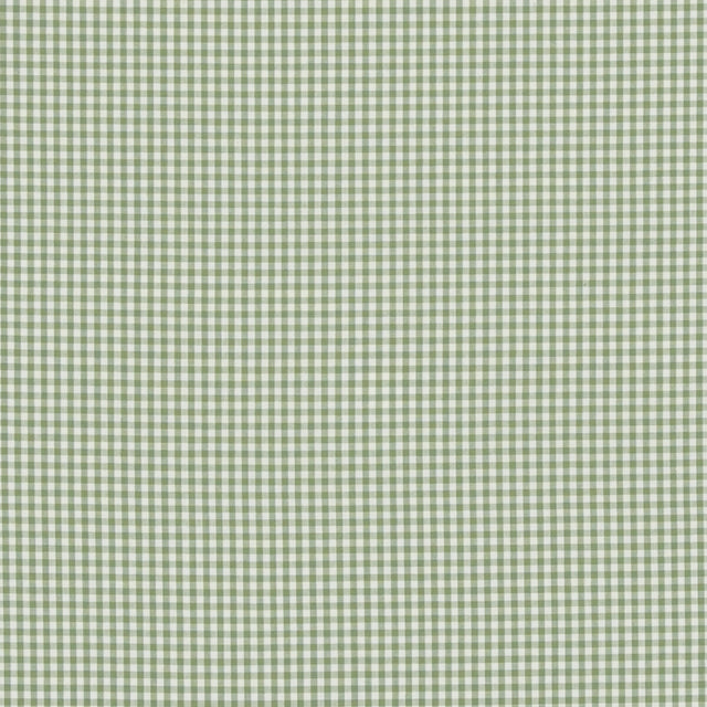 BAKER LIFESTYLE PF50506.735.0 SHERBORNE GINGHAM GREEN Fabric - Eade's Wallpaper