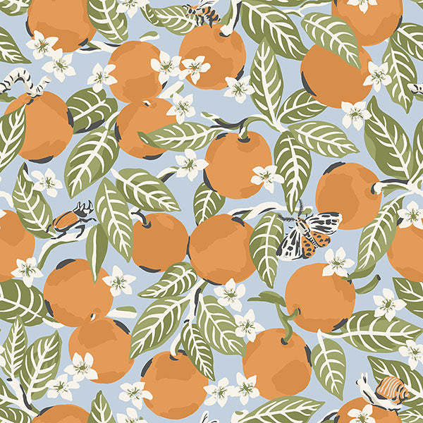 PrintFresh PFS4818 Sky Blue Orange Grove Peel and Stick Wall