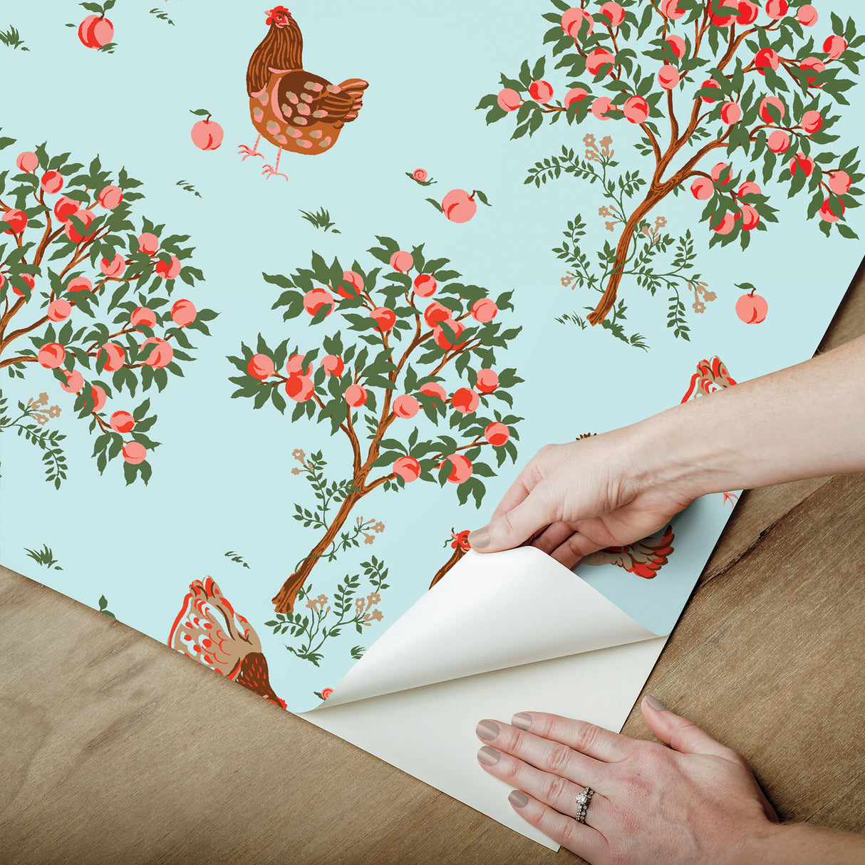 PrintFresh PFS6562 Hen House Aqua Peel and Stick Wallpaper