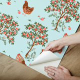 PrintFresh PFS6562 Hen House Aqua Peel and Stick Wallpaper