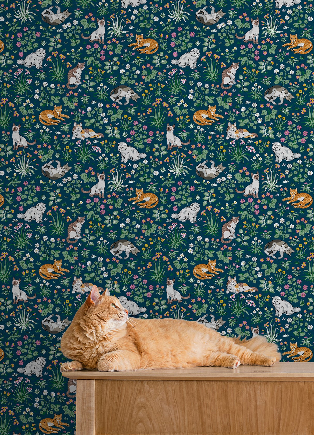 PrintFresh PFS6566 Must Love Cats Indigo Peel and Stick Wall