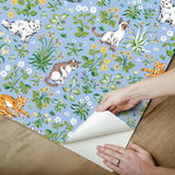 PrintFresh PFS6567 Must Love Cats Blue Peel and Stick Wallpa