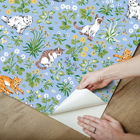 PrintFresh PFS6567 Must Love Cats Blue Peel and Stick Wallpa