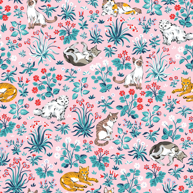 PrintFresh PFS6569 Must Love Cats Pink Peel and Stick Wallpa